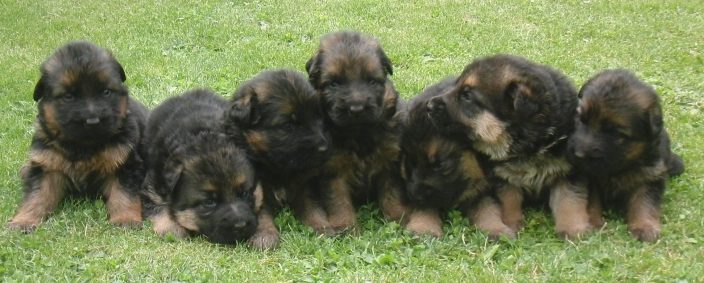bild7
